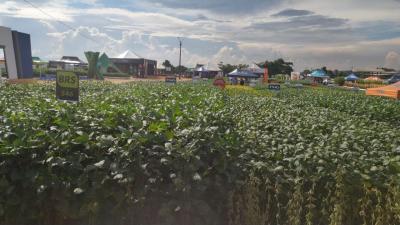 Dia de Campo da Coprossel teve uma Ã³tima participaÃ§Ã£o dos associados